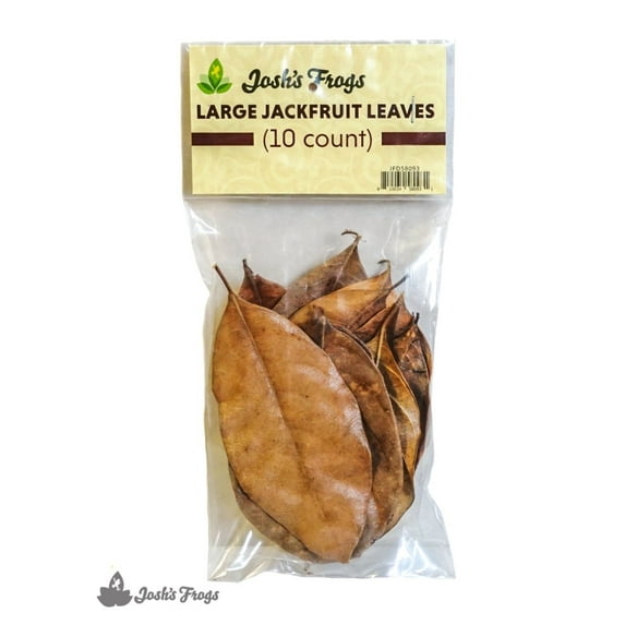 Josh's Frogs Large Jackfruit Leaves Leaf Litter (10 count)