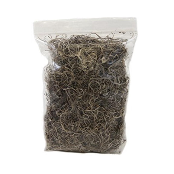 Josh's Frogs Spanish Moss (1 Quart)