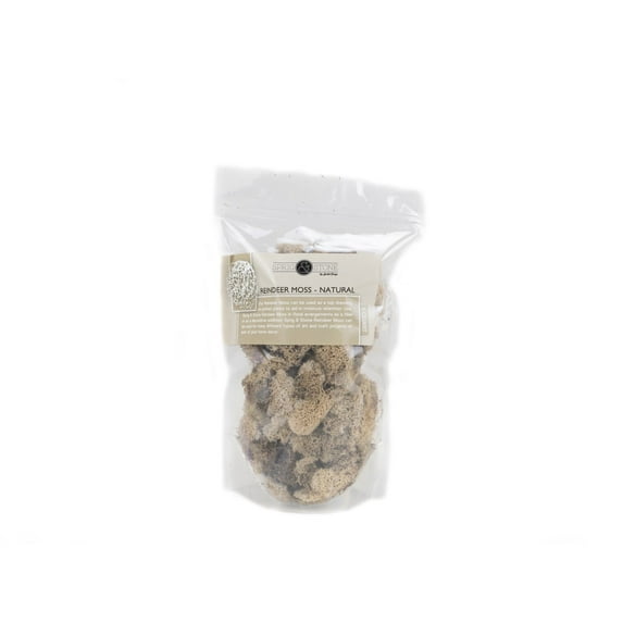 Josh's Frogs Sprig & Stone Dried Reindeer Moss- NATURAL (1 Quart)