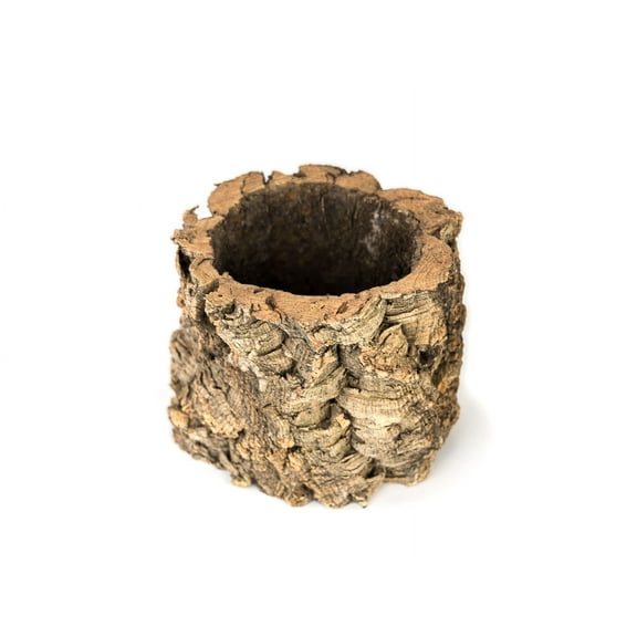 Josh's Frogs Virgin Cork Planter (6 inch tall)