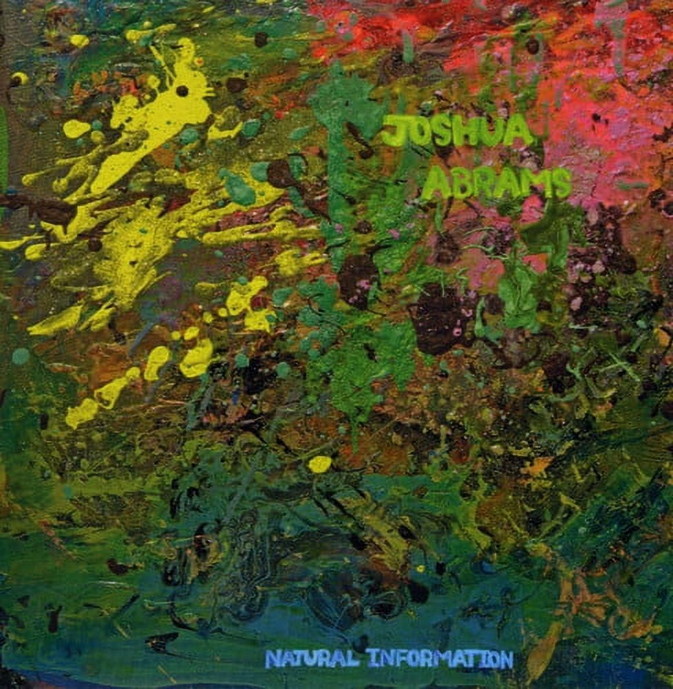 Joshua Abrams - Natural Information - Rock - CD - Walmart.com
