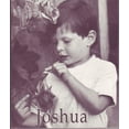 thumbnail image 1 of Pre-Owned Joshua Paperback, 1 of 1