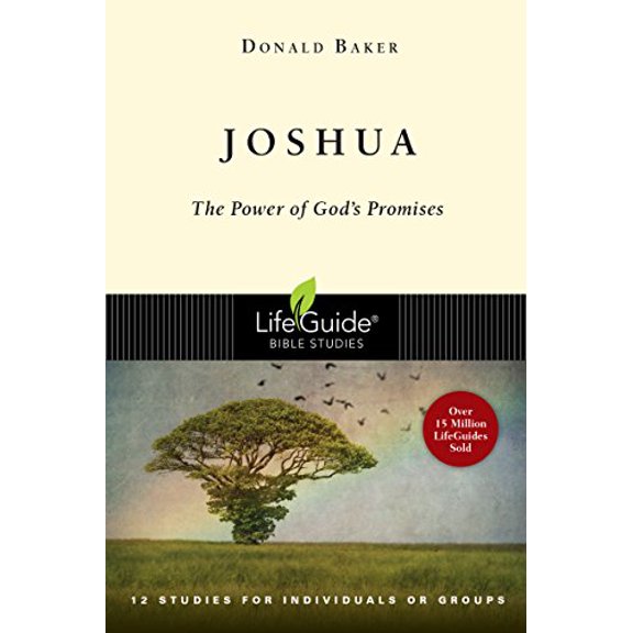 Pre-Owned Joshua: The Power of God's Promise (Paperback) 0830830243 9780830830244