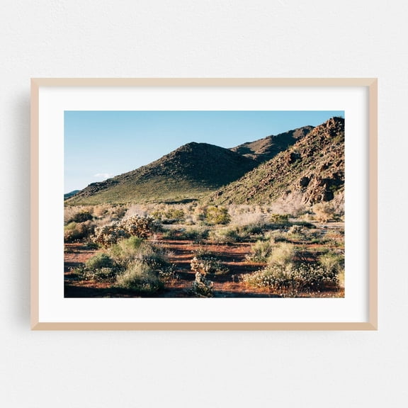 Joshua Tree California Desert Cactus Landscape Nature Fine Scenic Mountain Rural Poster Unframed Paper Print
