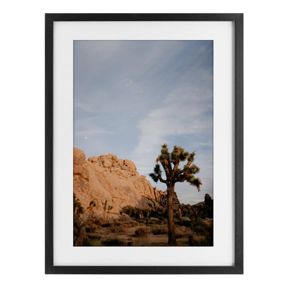 Stupell Industries Joshua Tree & Canyon Black Framed Print Under Glass, design by Jade Sharp Photo, 20 x 14