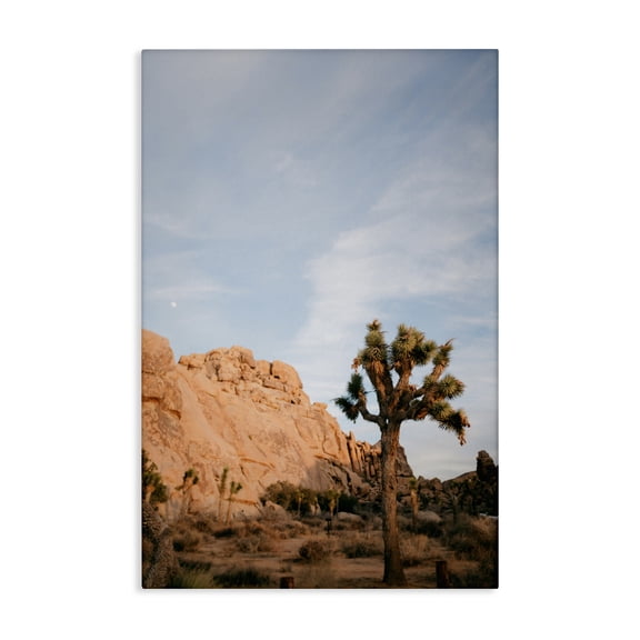 Stupell Industries Joshua Tree & Canyon Canvas Wall Art, design by Jade Sharp Photo, 45 x 30