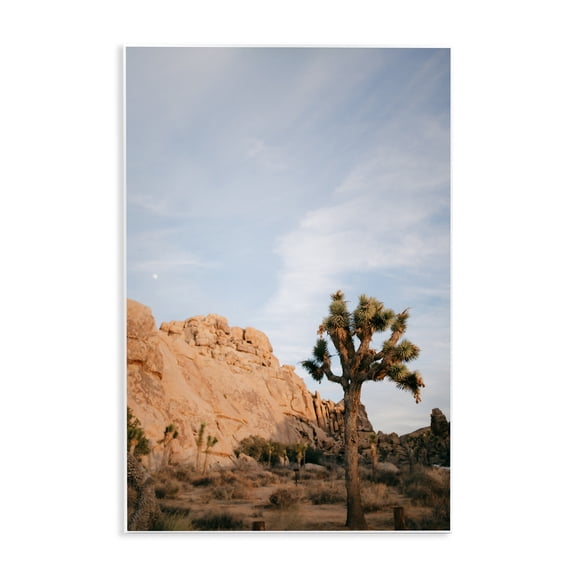 Stupell Industries Joshua Tree & Canyon Wall Plaque Art, design by Jade Sharp Photo, 19 x 13