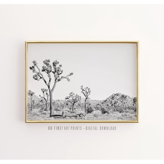 Joshua Tree Desert Landscape Photography Black And White Photography Nature Cactus Boho Poster Unframed Paper Print