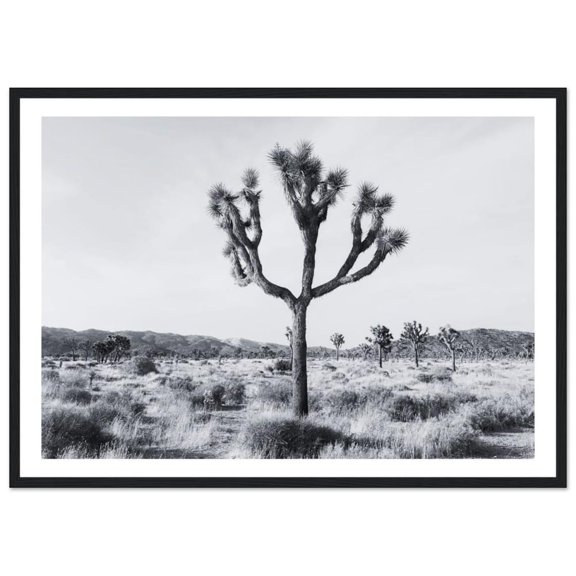 Joshua Tree Desert Landscape Wall Art Home Decor Unframed Paper Print