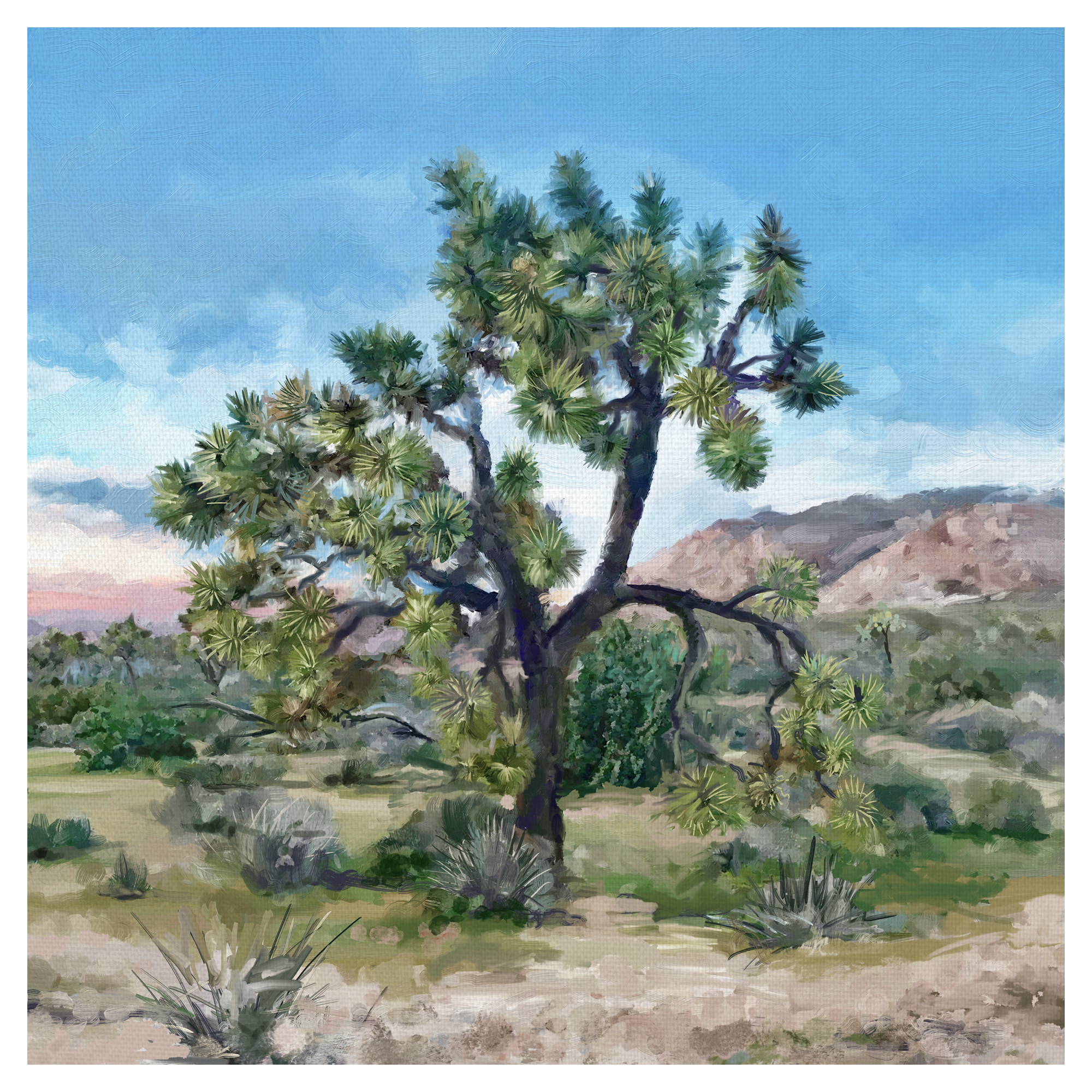 Joshua Tree Light by Studio Arts Wrapped Canvas Art Print