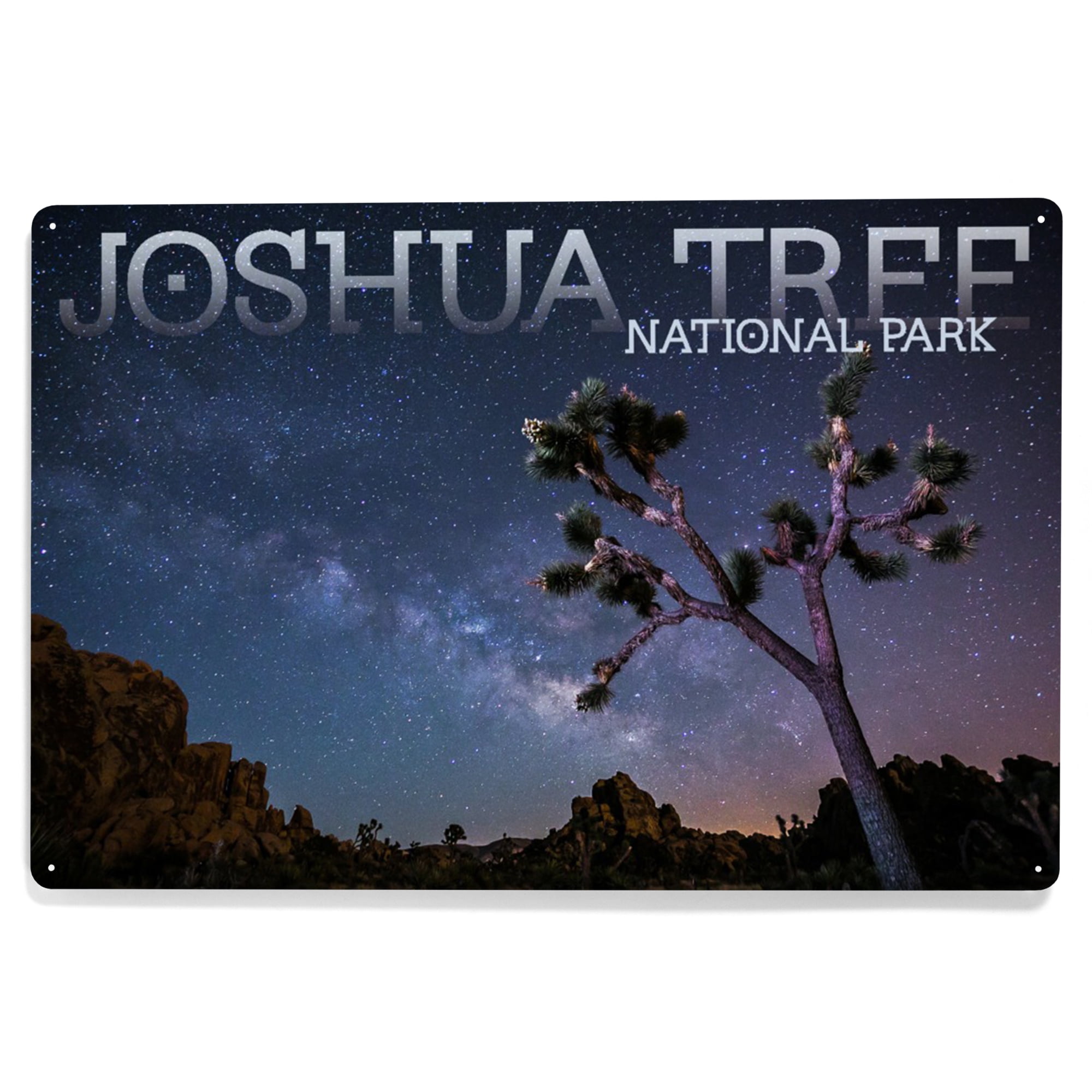 Joshua Tree National Park, California, Milky Way (12x18 Aluminum Art