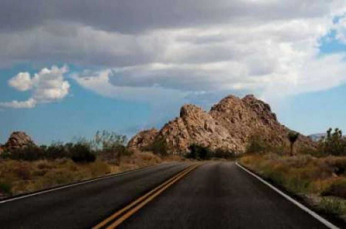 Joshua Tree National Park I Canvas Art - Erin Berzel (20 x 28)