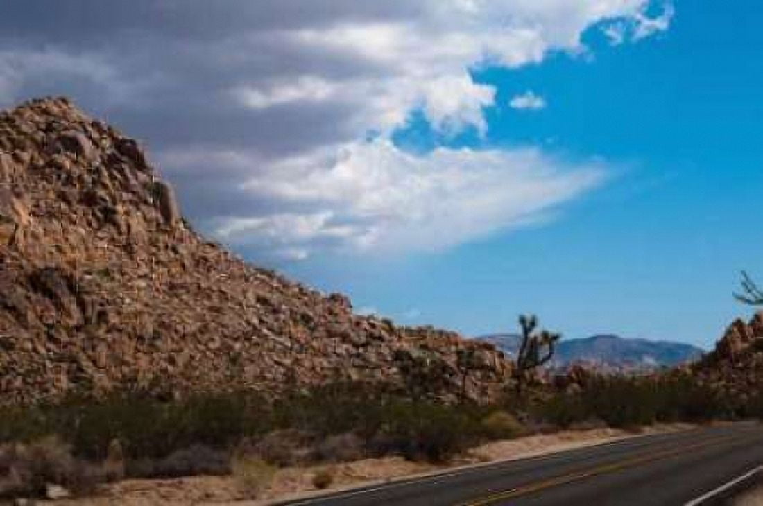 Joshua Tree National Park II Canvas Art - Erin Berzel (20 x 28)