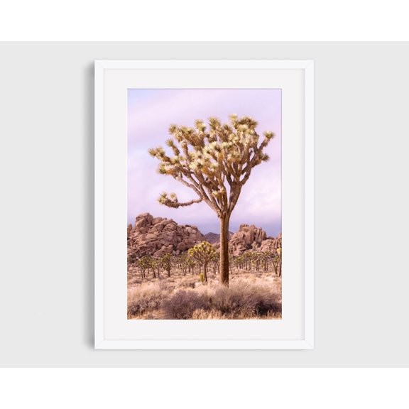 Joshua Tree Photo #5 California Desert Photography Travel Photography National Park Landscape Print Lavender Wall Decor