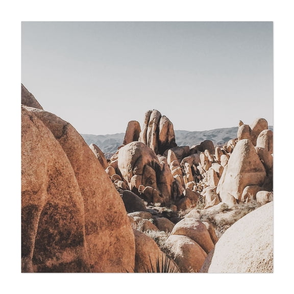 Joshua Tree Rock Formation - Joshua Tree California Photography Desert Nature Landscape Scenic Wilderness Travel Poster Unframed Wall Art Print 6 x 6 inches