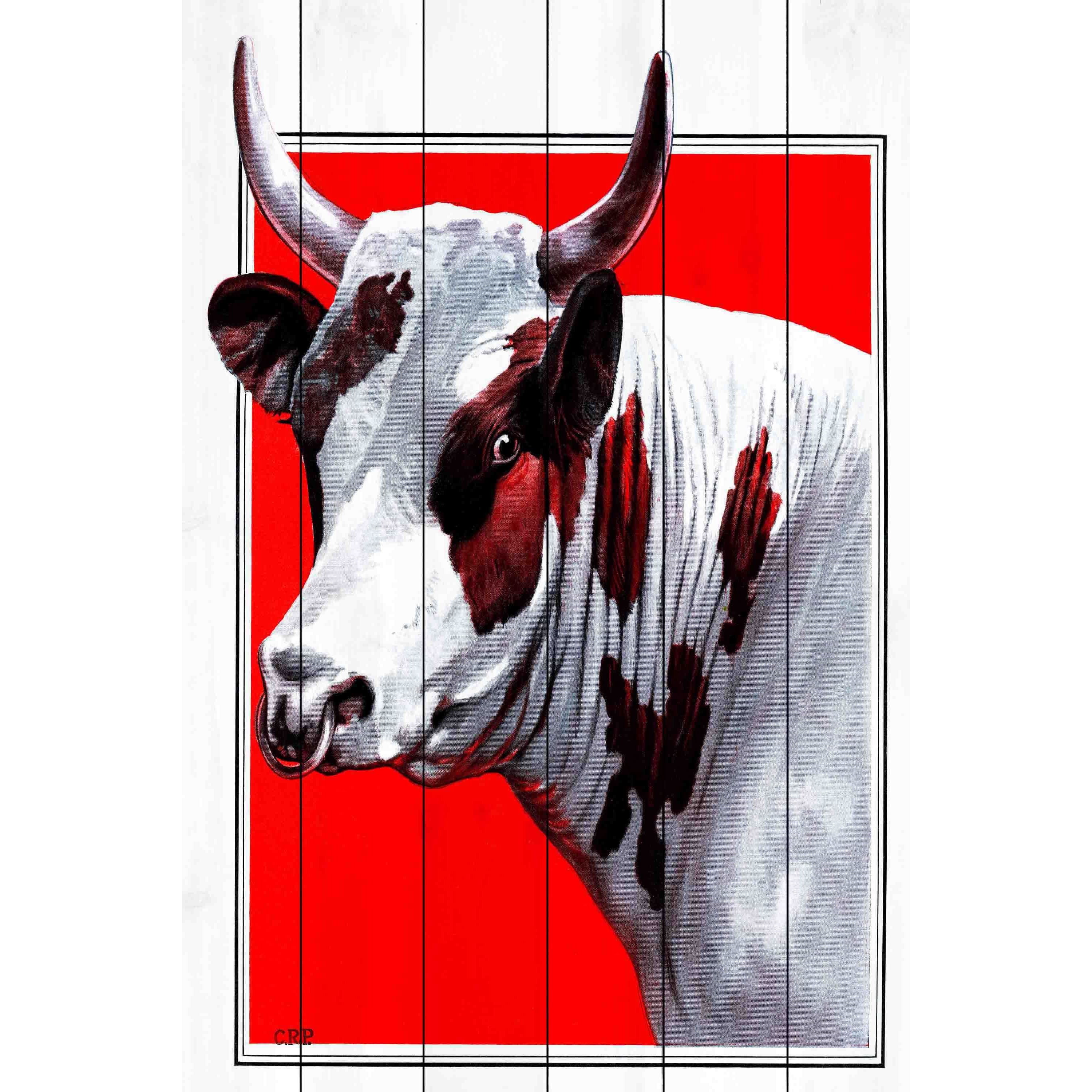 "Journal Bull" Painting Print on White Wood