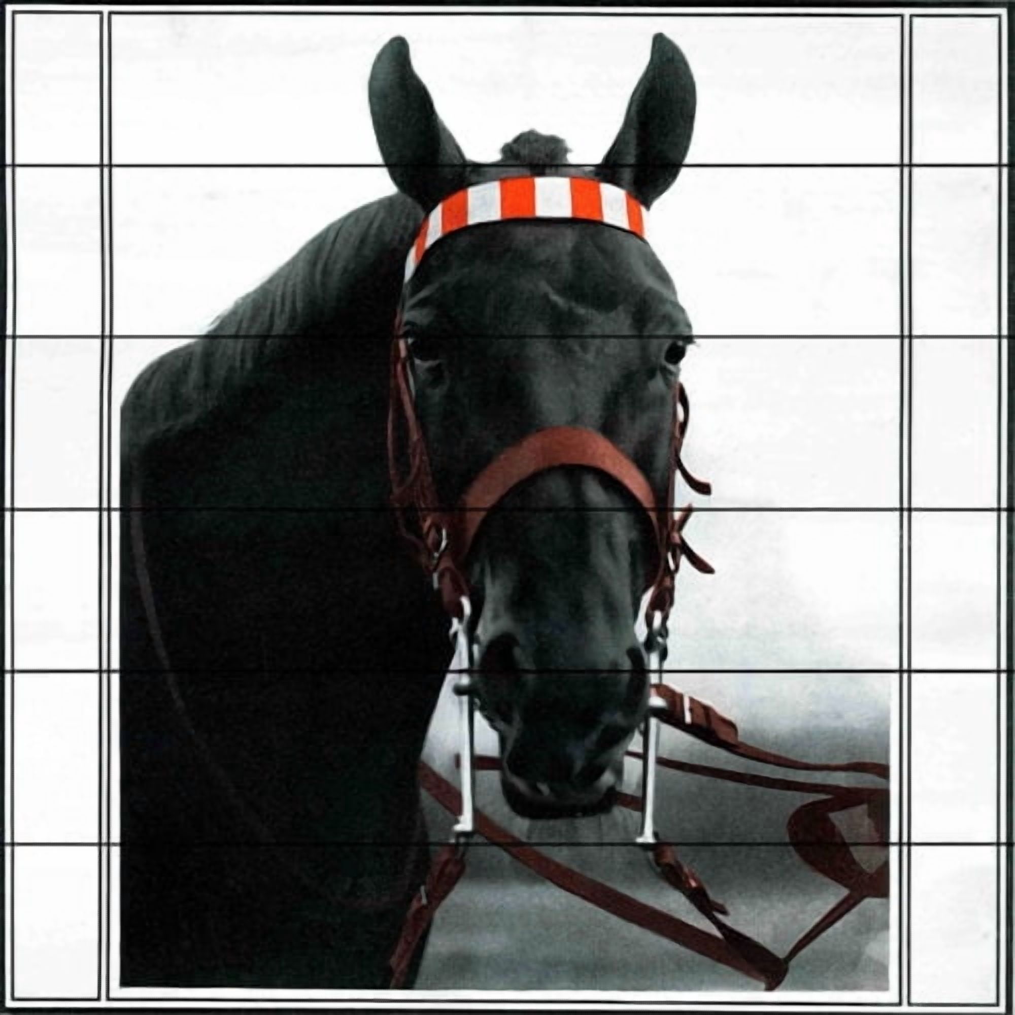 "Journal Horse" Painting Print on White Wood
