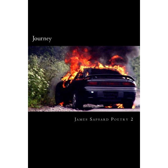 Journey (Paperback)