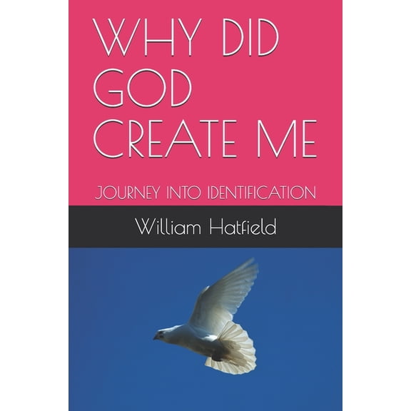 Journey Continues Why Did God Create Me: Journey Into Identification, Book 4, (Paperback)