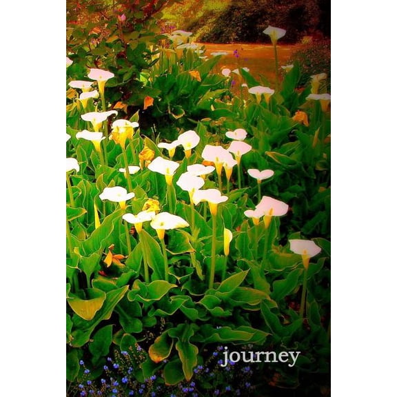 Journey, (Paperback)
