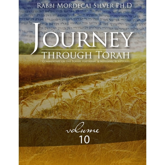 Journey Through Torah Volume 10 (Paperback)
