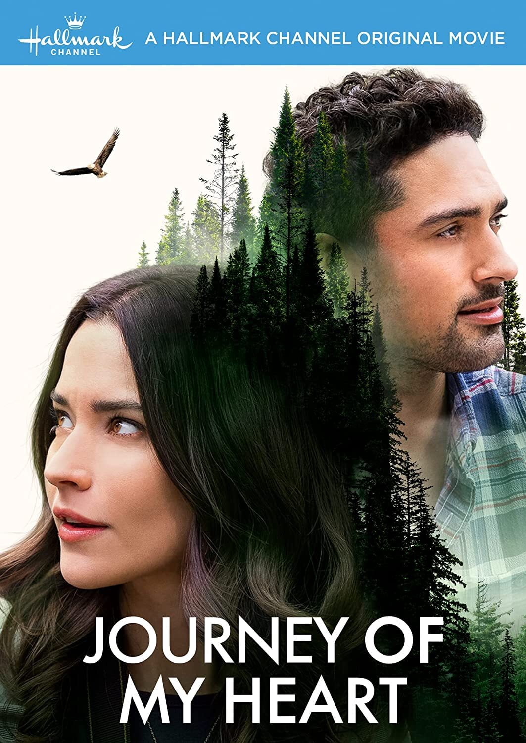 Journey of My Heart (DVD) - Walmart.com