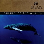 Journey of the Whales