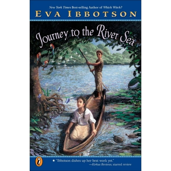 Journey to the River Sea (Paperback)