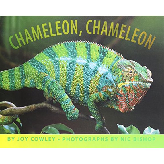Pre-Owned Journeys Chameleon, Chameleon: Little Big Book Grade K, (Paperback)