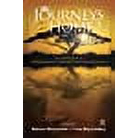 Journeys Home : An Anthology of Contemporary African Diasporic Experience (Poems and Personal Narratives). Edited by Salome C. Nnoromele, Lisa Day-Lindsay (Paperback)