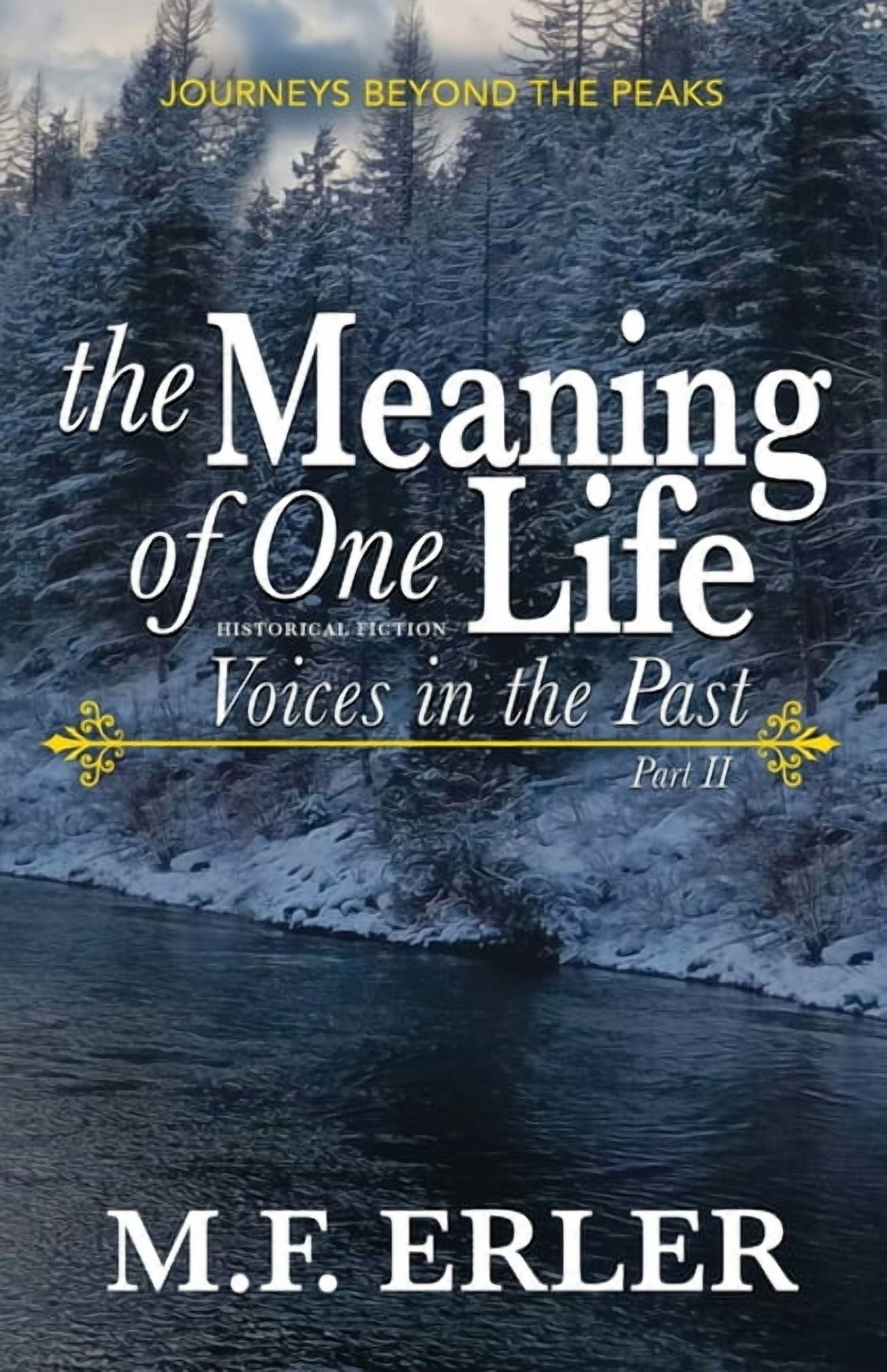 Journeys Saga The Meaning of One Life: A Christian Time Travel Family Saga Inspired by True Events, Book 2, (Paperback)