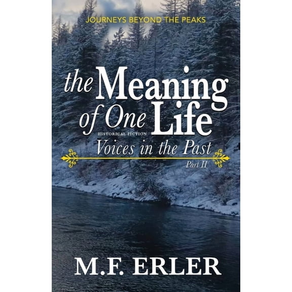 Journeys Saga The Meaning of One Life: A Christian Time Travel Family Saga Inspired by True Events, Book 2, (Paperback)