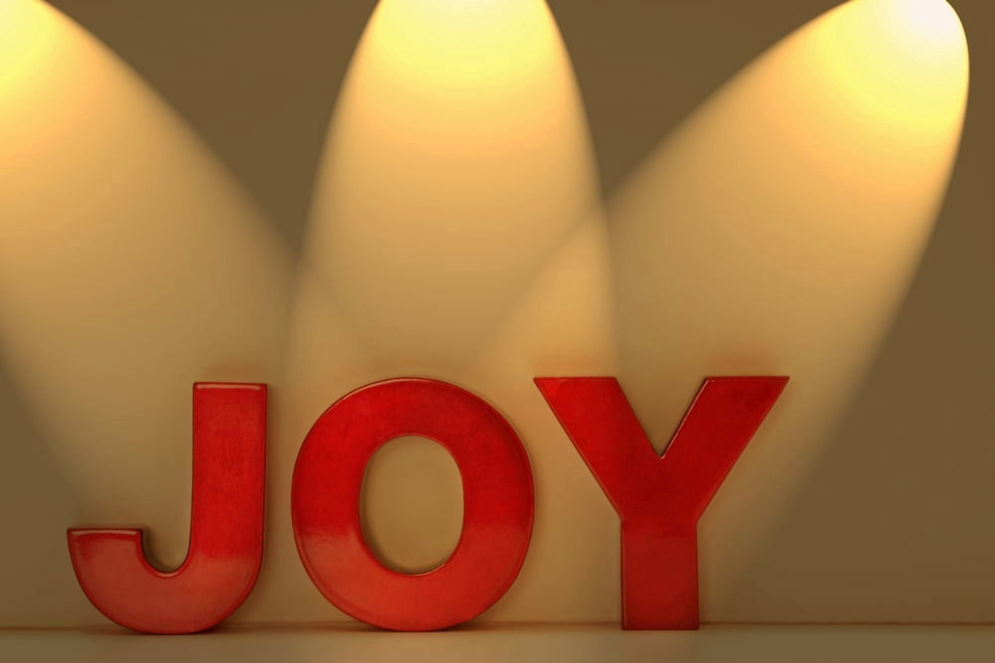 Joy Canvas Art - Leah Hammond Design Pics (17 x 11)