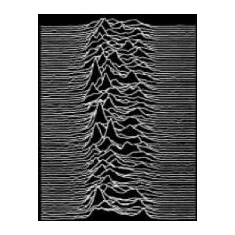 通販 送料無料  Joy-Division-Unknown-Pleasures 洋楽