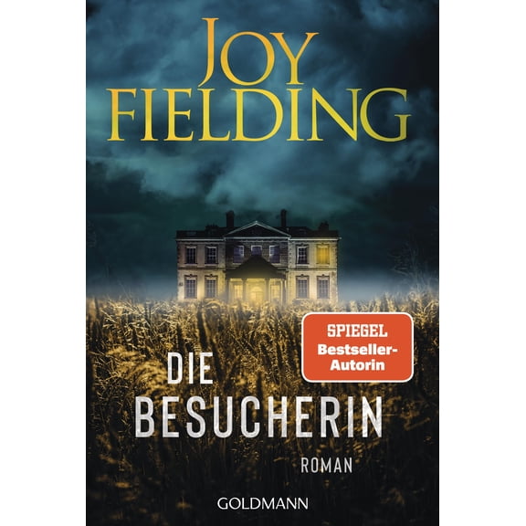 Joy Fielding,Kr Die Besucherin: Roman - Der Bestseller von SPIEGEL-Bestsellerautori (Paperback)