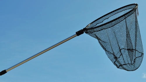 Joy Fish Landing Net 20