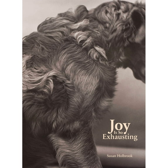 Joy Is So Exhausting (Paperback)