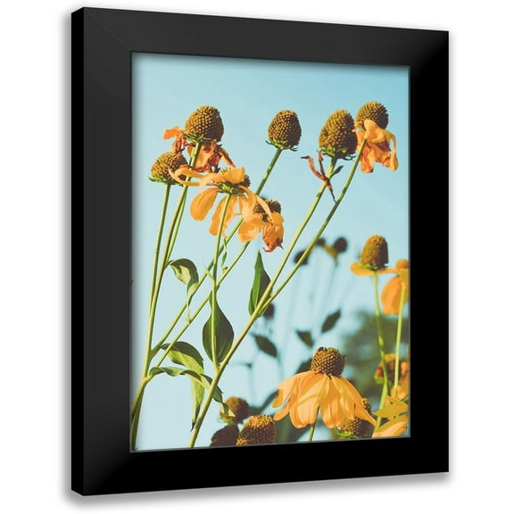 Joy, Olivia 11x14 Black Modern Framed Museum Art Print Titled - Reaching Sunlight