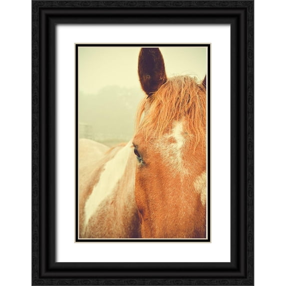 Joy, Olivia 13x18 Black Ornate Wood Framed with Double Matting Museum Art Print Titled - Chester