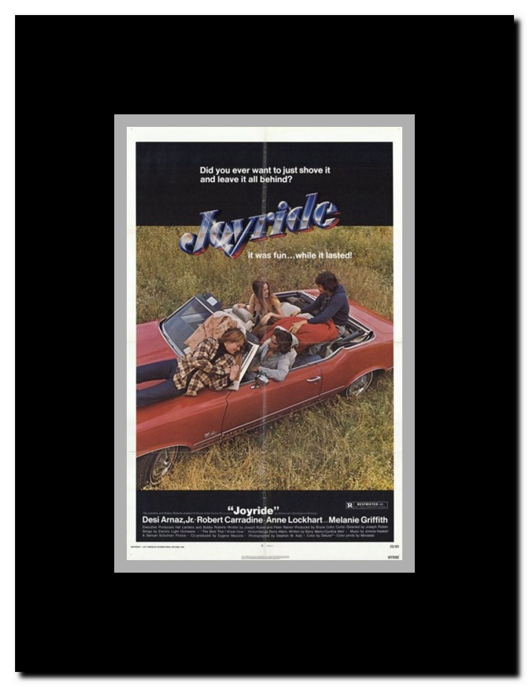 Joy Ride Framed Movie Poster