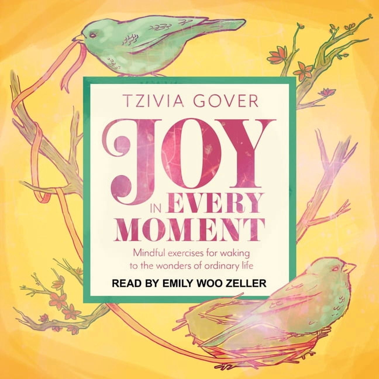 Joy in Every Moment: Mindful Exercises for Waking Up to the Wonders of Ordinary Life (Audiobook)