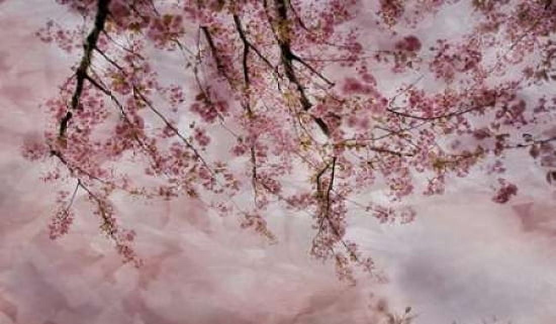 Joy of Spring Canvas Art - Irene Weisz (24 x 36)