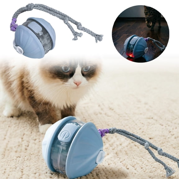 JoyMagic Interactive Cat : Wand And For Curious Felines Home Play Keeps Cats And Entertained For Hours