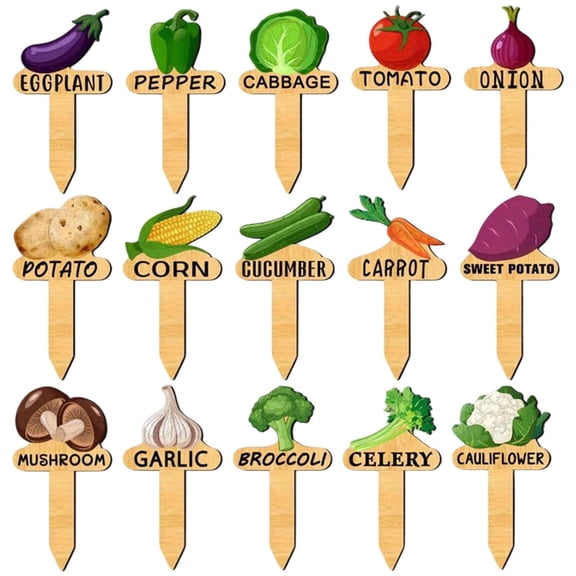 JoyMoreHome 15 Pcs Wooden Plant Label Sign, 15 Styles Vegetable Names and Patterns Signs, for Garden, Potted