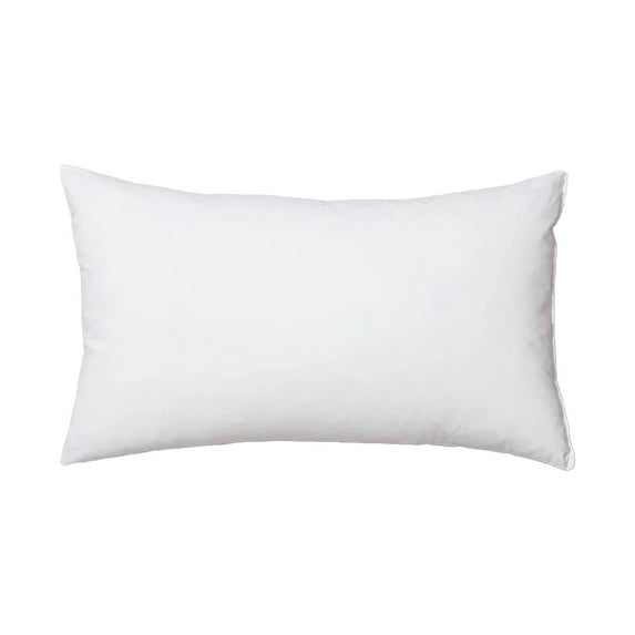 JoyMoreHome 20.08x29.92 Inch Pillow Insert, Fluffy Soft Lumbar Pillows, Rectangle Decorative Pillows for Couch, Sofa, Bed and Home Decor