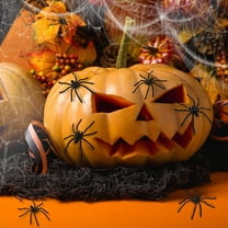 JoyMoreHome 20 Pcs Plastic Spider Toys, Fake Spiders for Prank Props Home Halloween Party Decorations Supplies