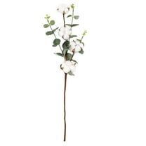 JoyMoreHome Cotton Stems Decor Branches, Cotton Flowers Plants for Decorations, Dried Flowers for Vase,4 per Stem