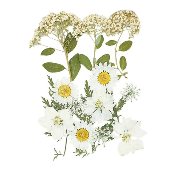 JoyMoreHome Face Flowers Stickers for Eye Corner and Forehead Face Rave Party Decorations