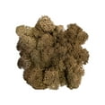thumbnail image 1 of JoyMoreHome Preserved Moss for Crafts Artificial Moss Potted Plants Decorative Faux Moss for Gardenning Art Wall Decor Table Centerpieces Crafts Decor, 1 of 4