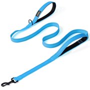 JoyPetto Heavy Duty Dog Leash with Double Handle for Large & Medium Dogs: 6 FT Reflective Nylon, Traffic Control Padded, Blue